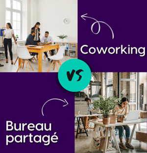 Flex Office: Shared Offices VS Coworking | What is the best option for your business in 2023?